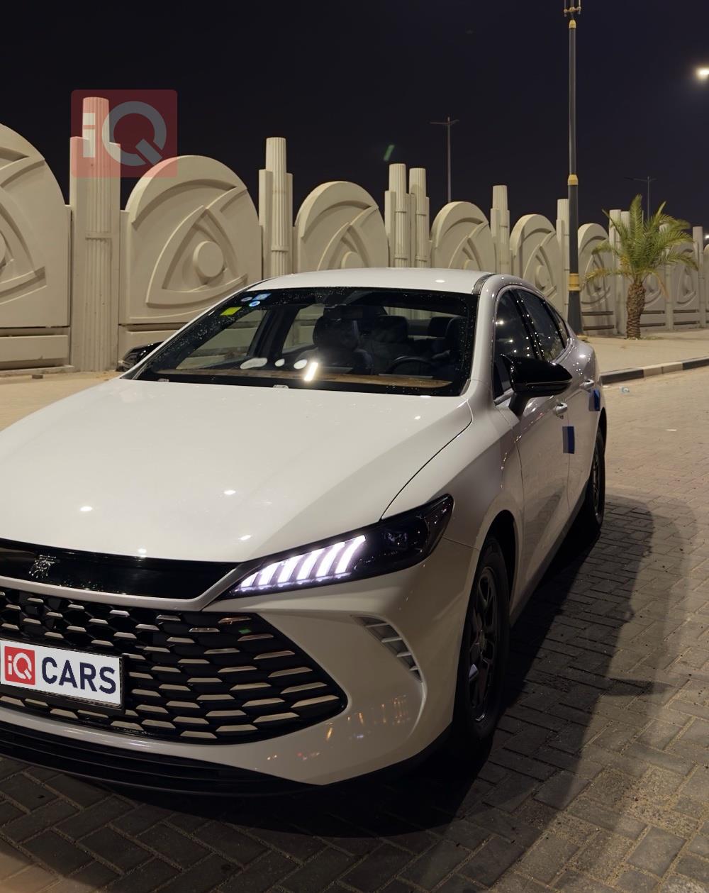 بي واي دي Qin Plus